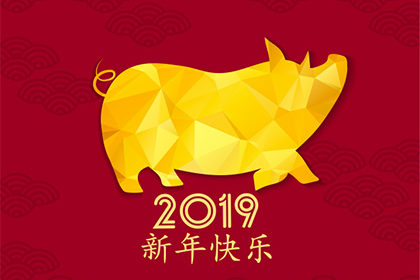 2019 année du cochon